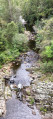 Un des nombreux cours d'eau qui constituent les sources.