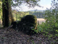 Circuit des rochers d'Uchon
