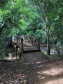 Sentier du Rorota - Rémire