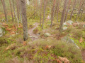 Chemin