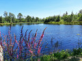 un dimanche en sologne