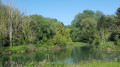 Un étang...des bois...une photo...