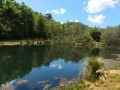 Landes et marais du Roho