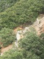Un isard sur les pentes du Pic des Coves