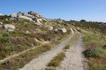 Un large sentier