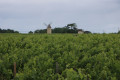 A mill