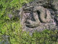 Un myst&eacute;rieux petit serpent