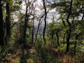 La croix de Lassaulx en boucle depuis Bilstain