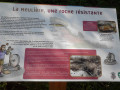 Un panneau de la carrière pédagogique