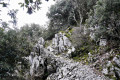 Un passage d’une zone rocheuse