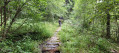 Un passage du sentier dans la combe du Loup