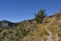 Un paysage dégagé