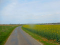 un paysage du Roumois