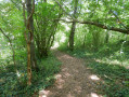 Un petit chemin ... Un petit chemin ...