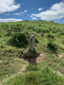 Un petit cromlech