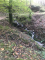Un petit ruisseau Un petit ruisseau