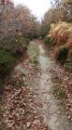 Un petit sentier rocheux
