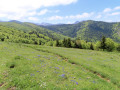 Un printemps enchanteur