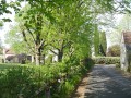 Un quartier tranquille