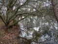 Les chemins des cistudes à Saint-Aigulin - Parcours Sud