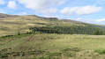 Plateau de la Planèze depuis le Col de Prat de Bouc
