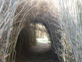 Un tunnel