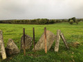 Pour traverser les prairies voici Un type d'&eacute;chalier, il y en a 5 observez bien autour de vous