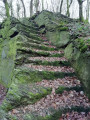 Un vestige d'une ancienne forteresse