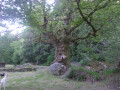 Boucle de Clédat par Chadebec et le Menhir du Pilard