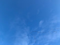 Un vol de grues