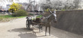 Una statue du parc.
