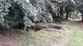 Une autre fontaine