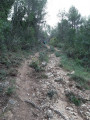 une belle descente