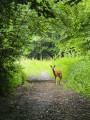 Une belle rencontre