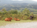 Une belle rencontre