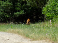 Une belle rencontre !