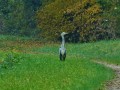 Une belle rencontre