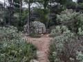 Une borie près de Fontaine-de-Vaucluse