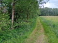 Promenade du Petit Leu
