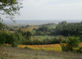 Une campagne vivante