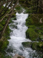 une cascade rafraichissante