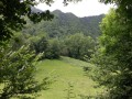 Une clairi&egrave;re dans les bois