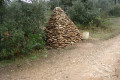 Vignes et garrigues autour de Moussoulens