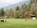 Une des fermes que l'on voit sur le chemin