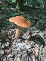 Boucle de la Fontaine Valère à Frizon
