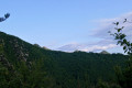 Une forêt dense accrochée à la montagne