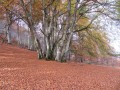 Le Tucou, le Monné, le Pic de Labassère