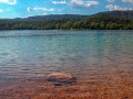 Une invitation à la baignade ! Une invitation à la baignade !