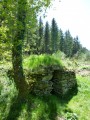 Une Jasse