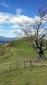 Une jolie grange